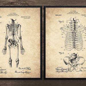 Skeleton, vintage skeleton, set of 2, skeleton print, anatomy print, anatomy poster, human body, medical print, vintage anatomy, anatomy art