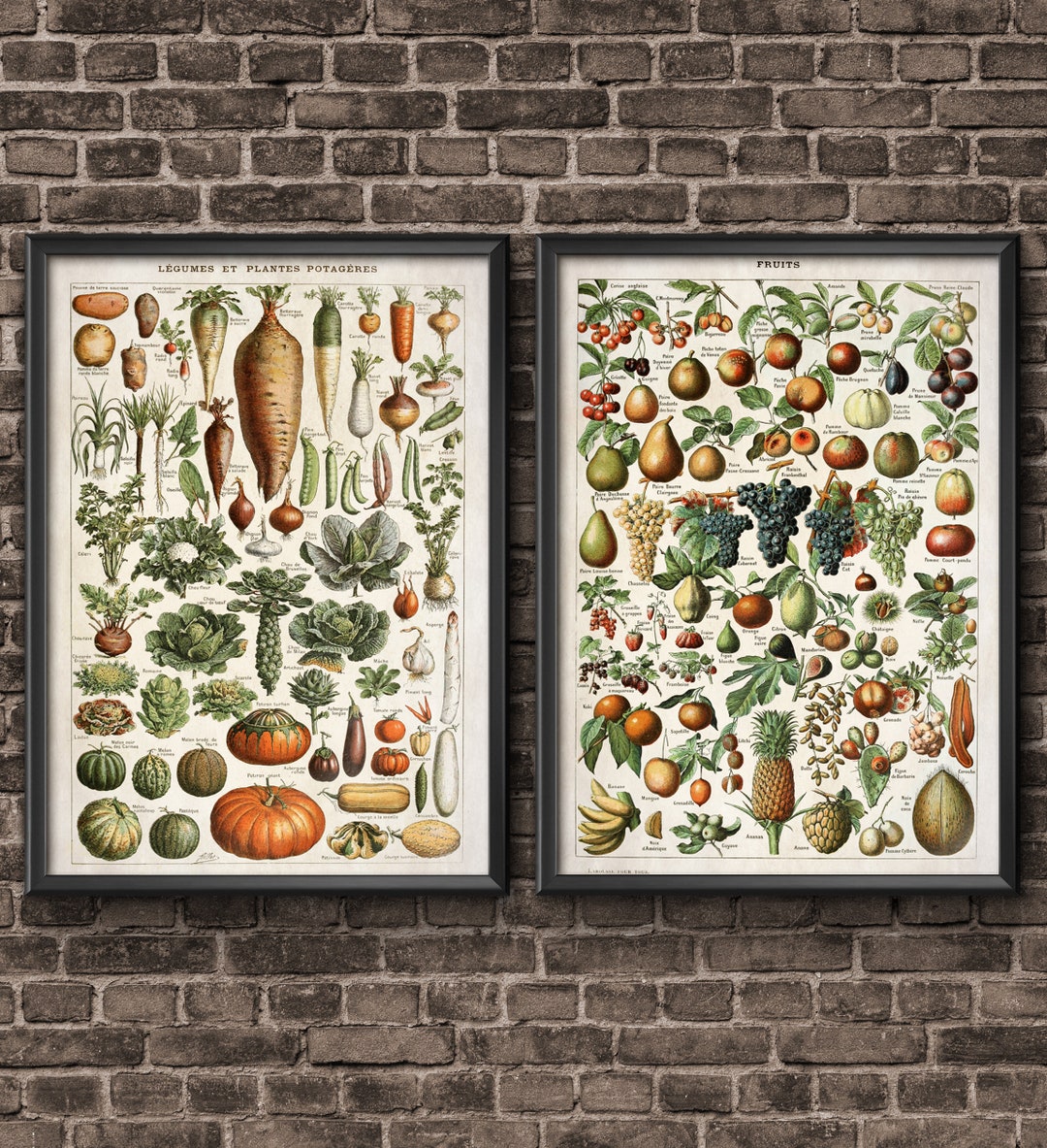 Botanical Vintage Floral Wall Art Set for Farmhouse Wall Decor Living ...