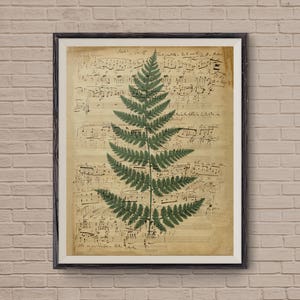 Music Sheets, Fern Art, Fern Print, Vintage Music Sheet, Vintage Flower, Musical Notes, Old Music Sheet, Vintage Art, Art Print