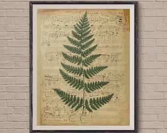 Music Sheets, Fern Art, Fern Print, Vintage Music Sheet, Vintage Flower, Musical Notes, Old Music Sheet, Vintage Art, Art Print