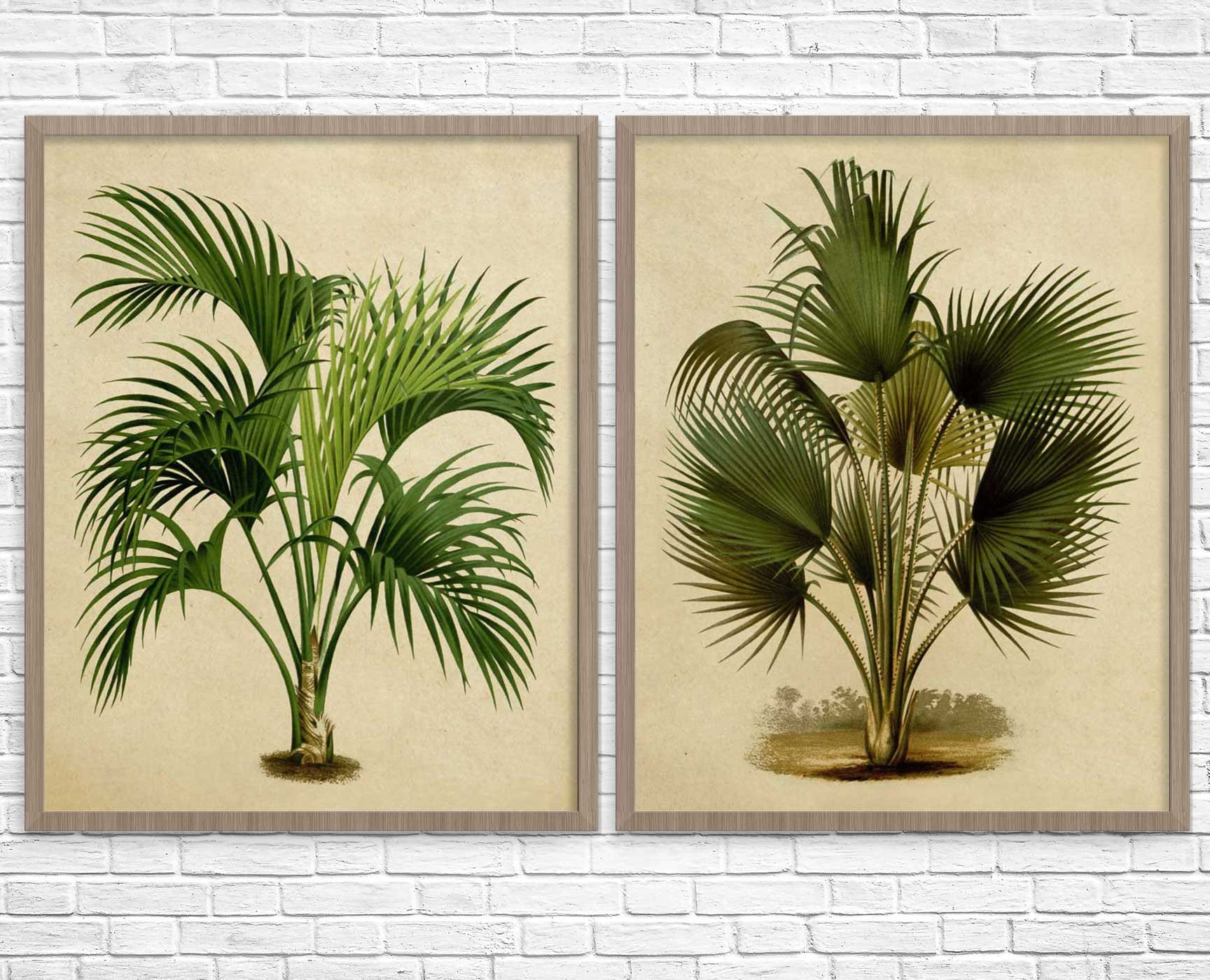 Botanical Print Set of 2 Palm Tree Botanical Wall Art