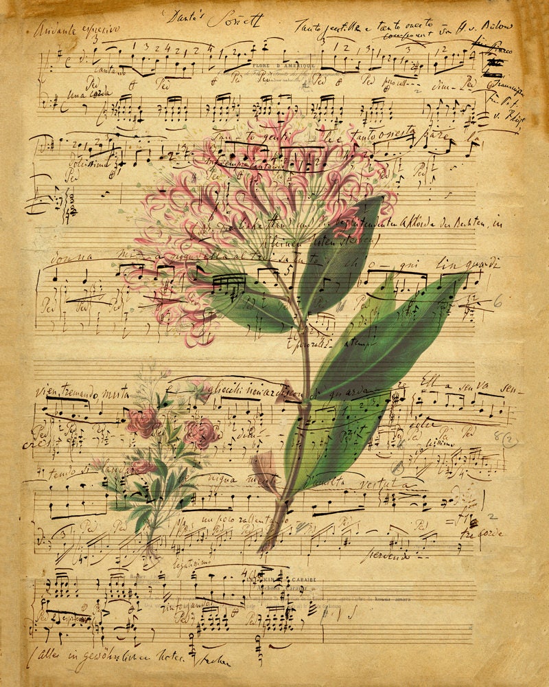 Music Sheets, Vintage Music Sheet, Vintage Flower, Musical Music Sheets, Vintage Music Sheet, Vintage Flower, Musical