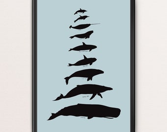 Affiche de comparaison de baleine, baleines du monde, peinture de baleines d'aquarelle, décor de salle de bains