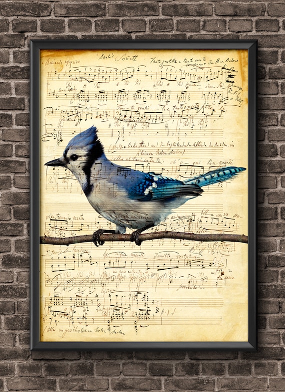 Vintage Music Sheet Bird Wall Art, Music Sheets, Butterfly Art ...