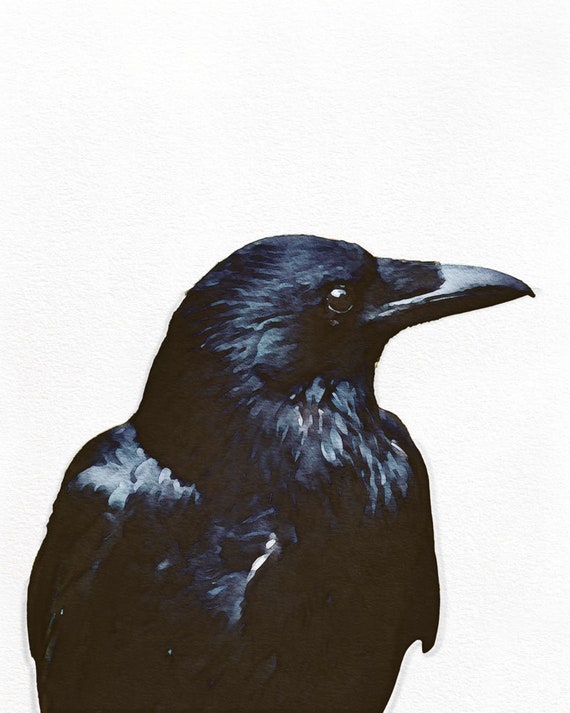 Enmarcado impresión Gótico Mujer con una Crow/Raven volar de su vestido negro ART