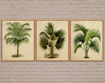 Set met botanische palmboomprint, tropische muurkunst