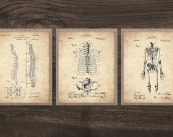 Anatomy Skeleton Patent Print, Medical Art Gift