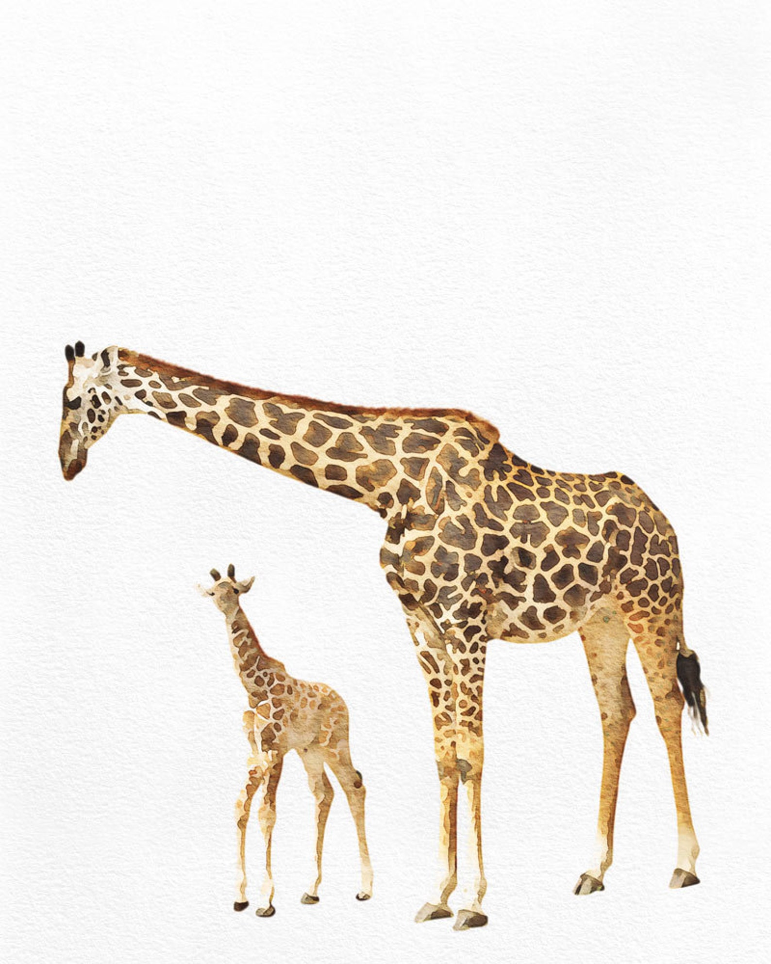 Giraffe Nursery Art Watercolor Painting Set of 2 Nursery Etsy
