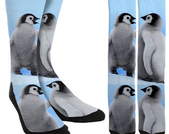 penguin menswear