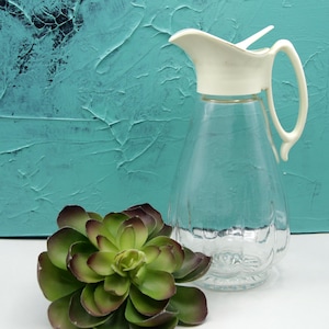 May include: A clear glass pitcher with a cream-colored plastic lid and handle. The pitcher features a vertical ribbed design on the lower body and a curved spout. Beside the pitcher sits a succulent plant with green and dark purple leaves.