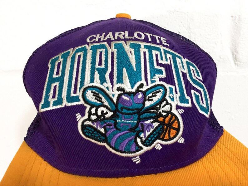 charlotte hornets dad hat