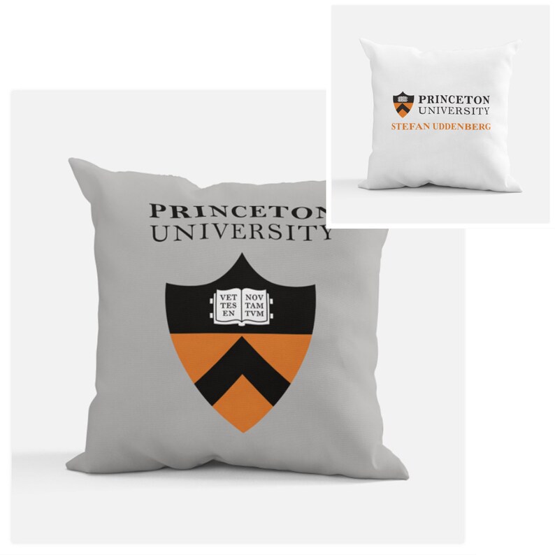 Princeton University Throw Pillow // Customize Princeton University Throw Pillow // Customize Throw Pillow // Graduation Gift KEAiDesigns image 1