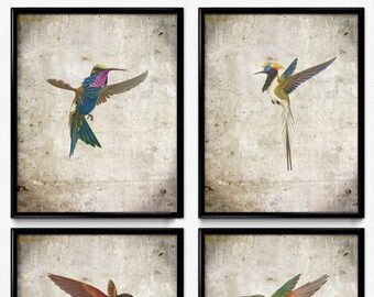 Hummingbirds Set of 4 Vintage Prints - Hummingbirds Poster - Bird Wall Art Poster - Hummingbird Art - Home Decor - Home Art - VP1169