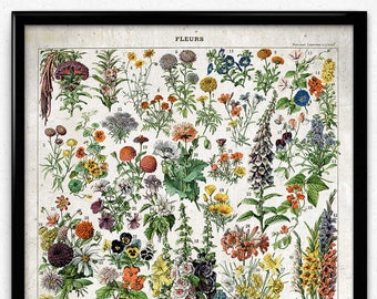 French Flowers Fleurs Vintage Print 3 - Flower Poster - Flower Art - Flower Picture - Home Decor - Home Art - Living Room - Living Room Art