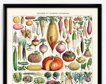 Vegetables Illustration Vintage Print 1 - Kitchen Wall Art - Home Decor - Vintage Botanical - Vegetables Art - Kitchen Art Decor - Larousse