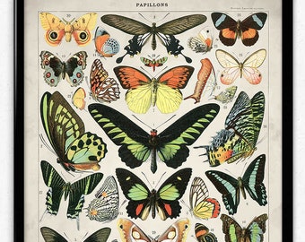 Papillons vintage Print 2 - Affiche papillons - Butterfly Art - Home Decor - Home Art - Cuisine - Kitchen Art (VP1060)