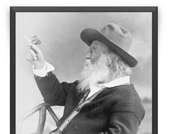 Walt Whitman Butterfly Vintage Photo - Walt Whitman Portrait Print Canvas American Poet Wall Art Literary Picture Memorabilia Art VP1206