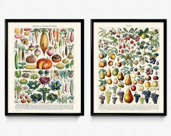 Fruits and Vegetables Vintage Print Set of 2 - Kitchen Decor - Kitchen Art - Home Decor - Botanical Print Set - Fruit Art - Larousse VP1031