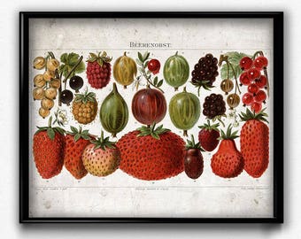 Strawberries Fruit Vintage Print - Fruit Poster - Fruit Art - Home Decor - Home Art - Kitchen Art - Kitchen Decor - Botanical Print