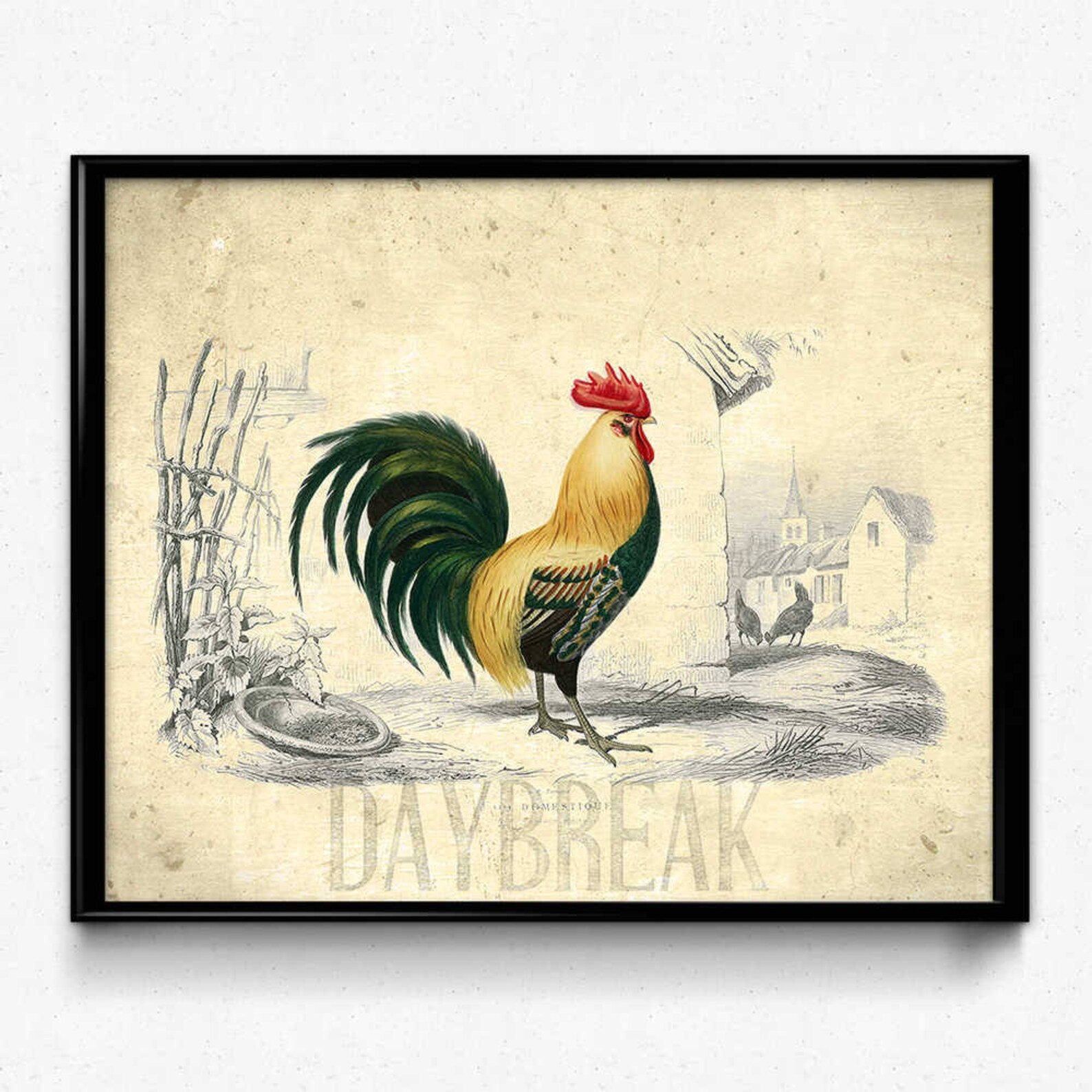 Rooster Vintage Print Rooster Poster Rooster Art Kitchen - Etsy Canada