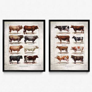 Cows Breeds Vintage Print Set of 2 - Cow Poster - Cow Art - Cow Picture - Cow Decor - Kitchen Decor - Kitchen Art - Farm - Larousse (VP1058)