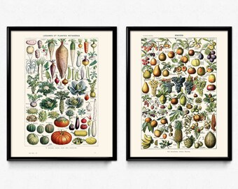 Vegetables and Fruit Vintage Print Set of 2 - Kitchen Decor - Kitchen Art - Home Decor - Botanical Science - Larousse VP1032