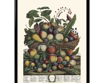 Beautiful Basket Fruit Vintage Print 4 - Fruit Poster - Fruit Art - Kitchen Art - Botanical Fruit Picture - Home Decor - Home Art VP1188