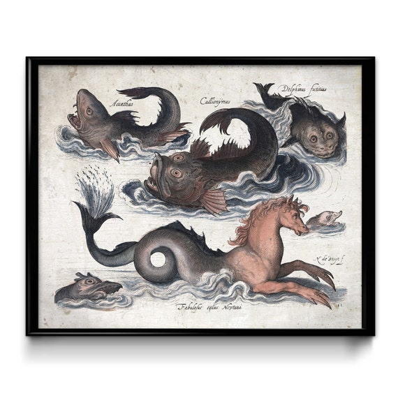 Old Sea Monster Drawings