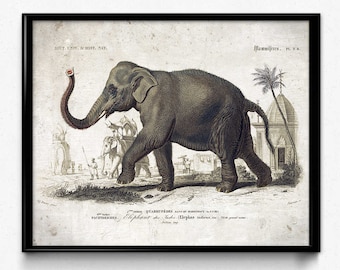 Elephant Vintage Print - Elephant Poster - Elephant Art - Elephant Picture - Elephant Illustration - Home Decor - Home Art - Asia - VP1083