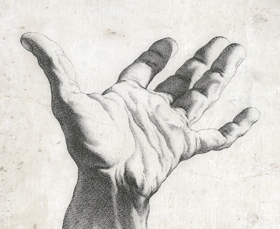 Human Hand Anatomy - Dual View - Vintage Diagram 2 Drawing by Vintage  Anatomy Prints - Pixels