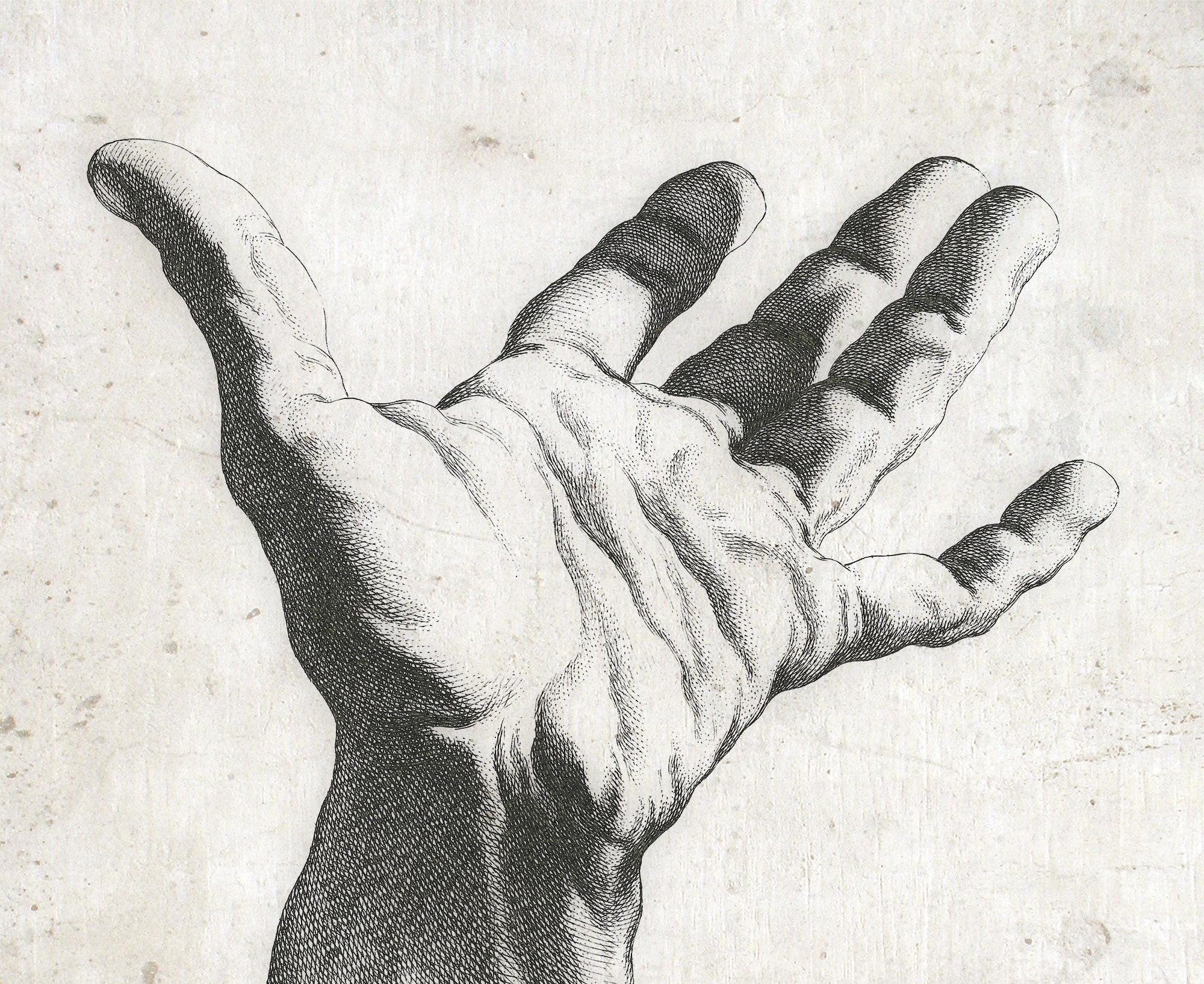 Exhibition Examines Michelangelos Working Process through Rare Original  Drawings  Getty Iris