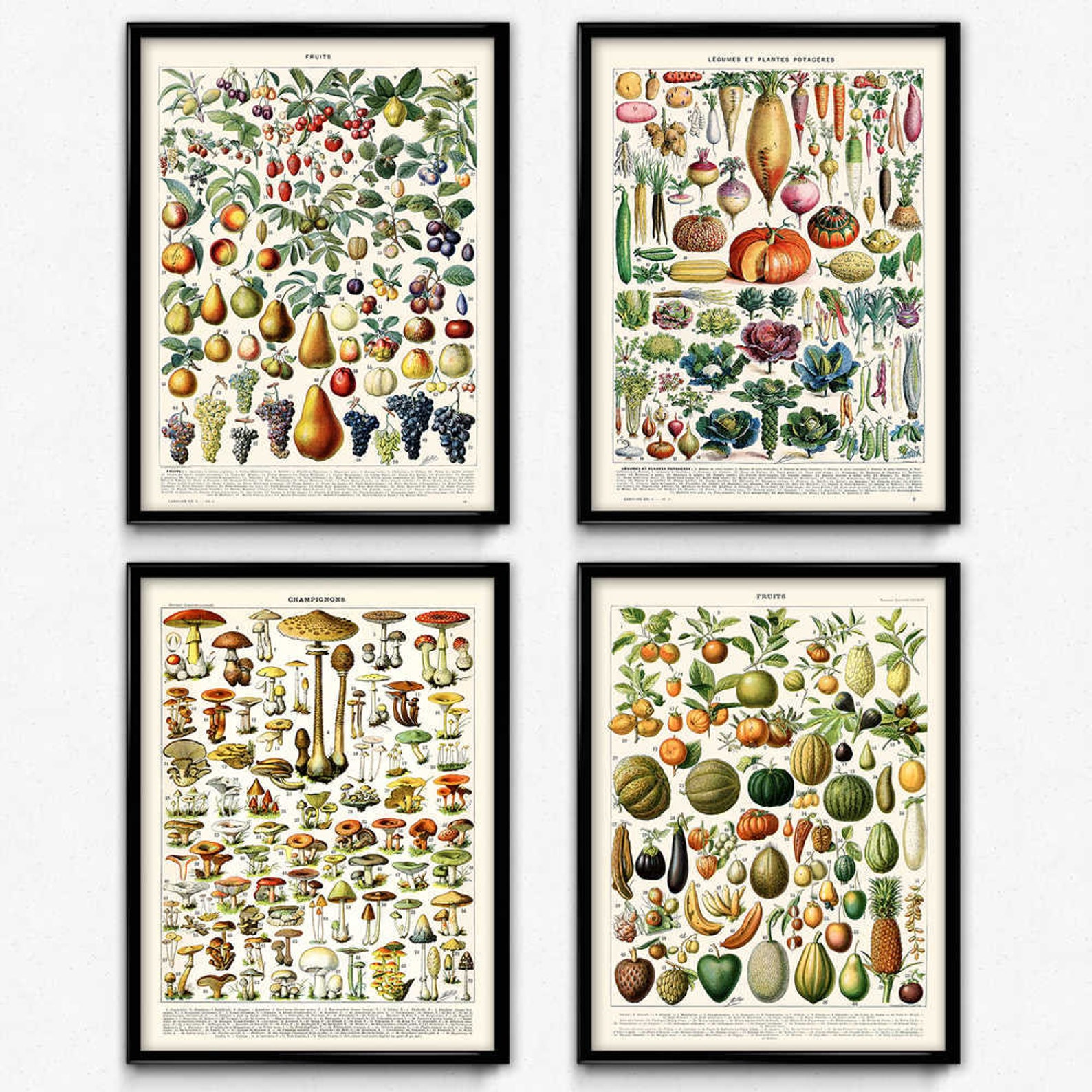 Kitchen Vintage Prints Set of 4 (1)