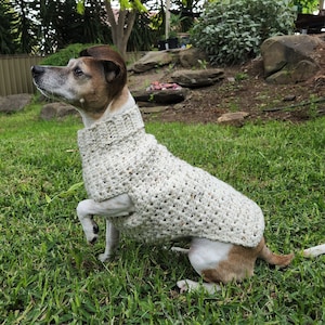 Arlo Crochet Dog Sweater - Small (easy Crochet pattern)
