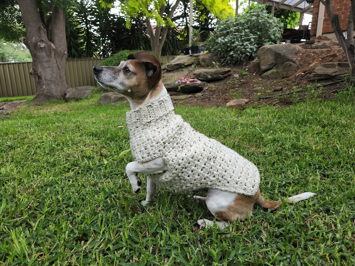 Adorable Super Easy Crochet Dog Jumper/sweater for Small Dogs Etsy Australia
