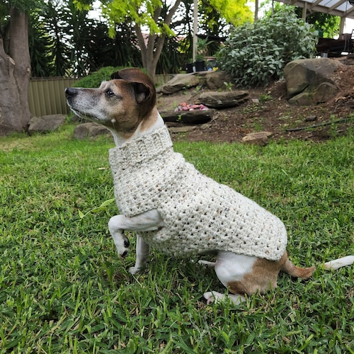 Adorable Super Easy Crochet Dog Jumper/sweater for Small Dogs Etsy