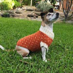 Adorable, Easy Peasy, Snowfall Crochet Dog Sweater Pattern for Small Dogs