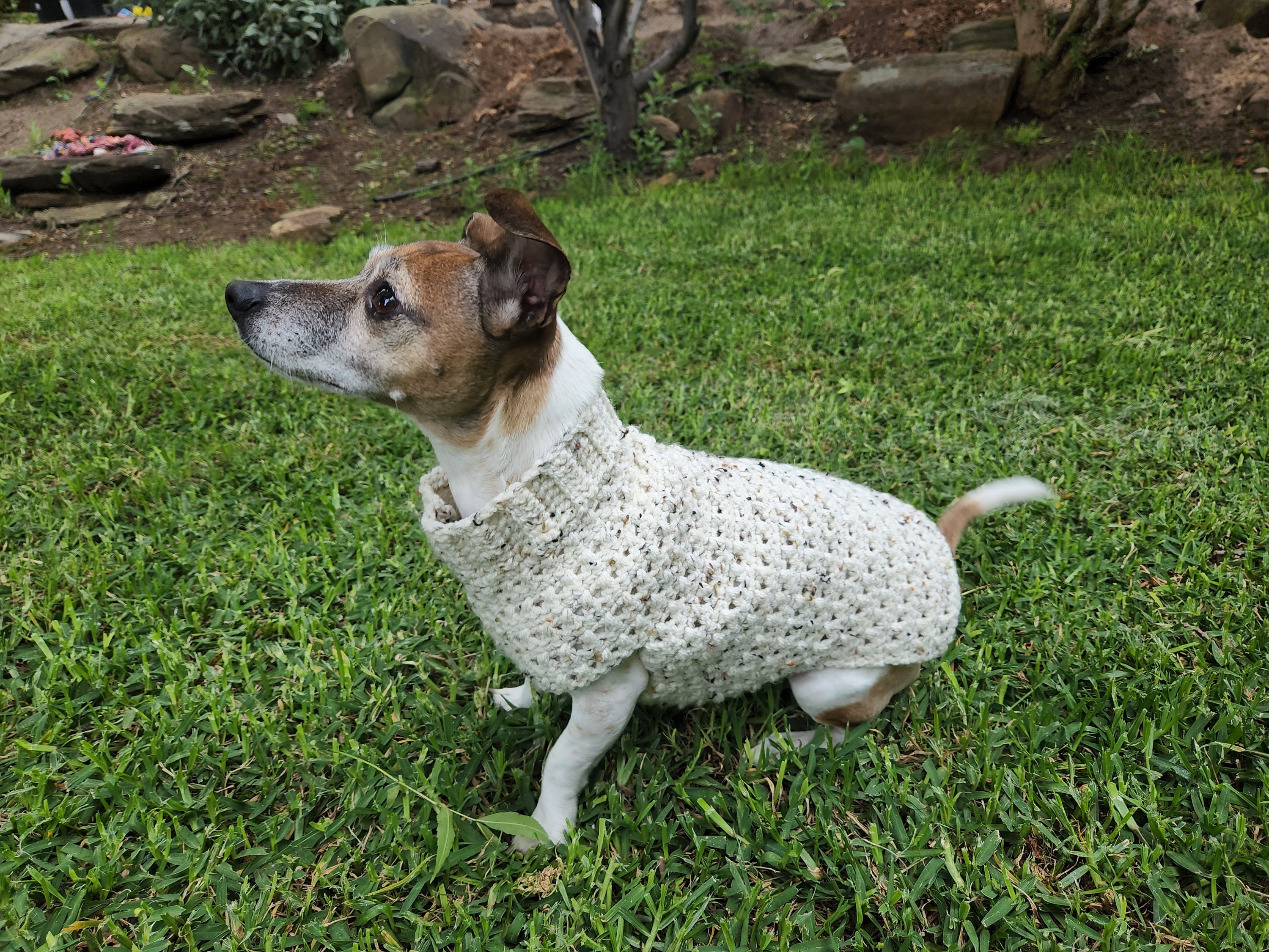 Adorable Super Easy Crochet Dog Jumper/sweater for Small Dogs Etsy Australia