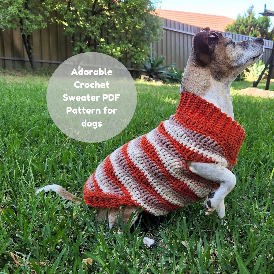 Adorable Retro Style Crochet Dog Sweater Pattern Etsy