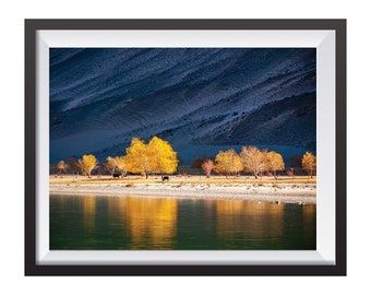 A palette of gold: Autumn in Ladakh