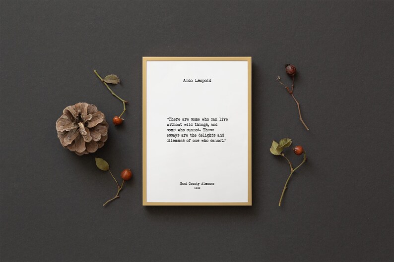 Aldo Leopold Wall Art Book Quotes Home Decor Book Lover | Etsy