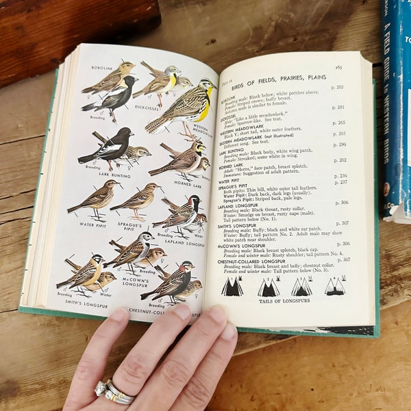 1961 A Field Guide to Western Birds, Roger Tory Peterson Bird Illustrations, Vintage Green Hardback Book & Jacket, National Audubon Society