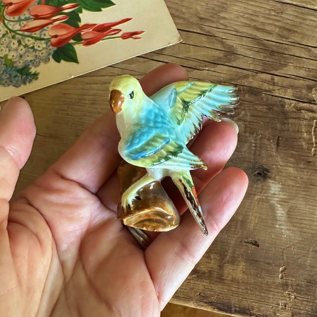 Kelvins Vintage Budgie Parakeet Figurine Bone China Made in Etsy