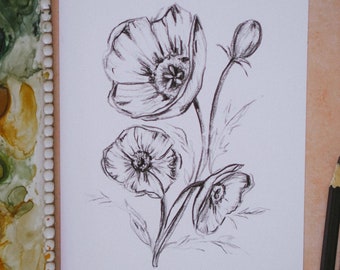 Poppy Flower Sketch