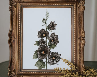 Black Hollyhock Watercolor