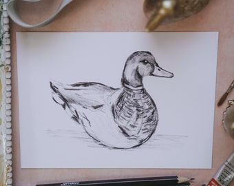 Mallard Duck Sketch