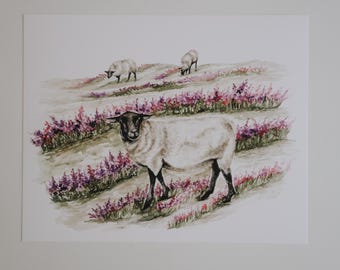 Flower Field Sheep Watercolor Art Print