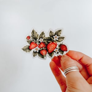 Strawberry Bunch Sticker, Botanical Sticker, Floral Sticker, Die Cut Sticker, Strawberries, Stickers