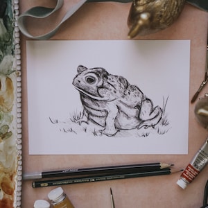Toad Sketch, Toad Drawing, Spring Illustration, Toad Illustration, Spring Decor, Toad Art Print