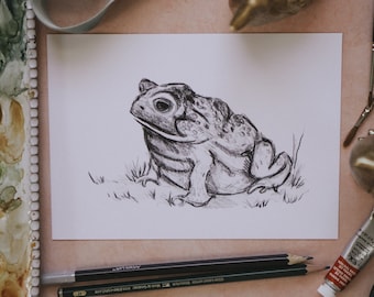 Toad Sketch