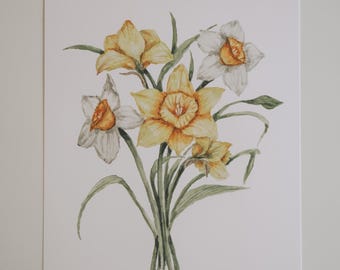 Daffodil Bouquet Art Print